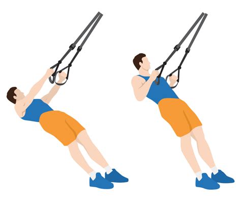 inverted row  variations illustrated guide gym geek
