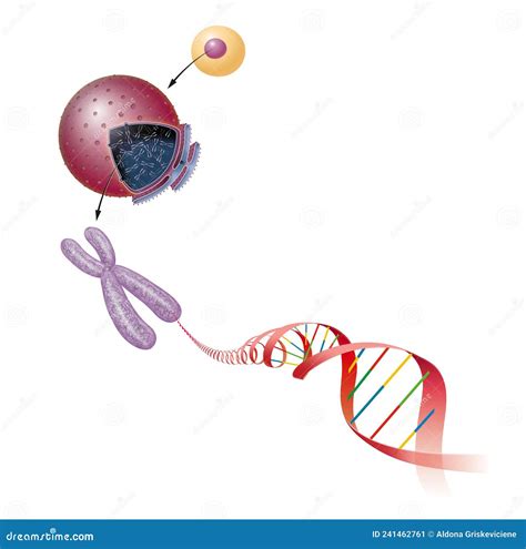 Illustratie Van De Celstructuur Dna Molecuul Stock Illustratie