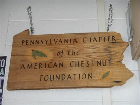 PA Chapter - The American Chestnut Foundation American Chestnut ...