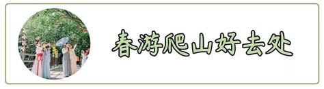 洛阳35个春游好去处！摘草莓、放风筝、爬山、拍照、赏花，嗨爆了！孟津县