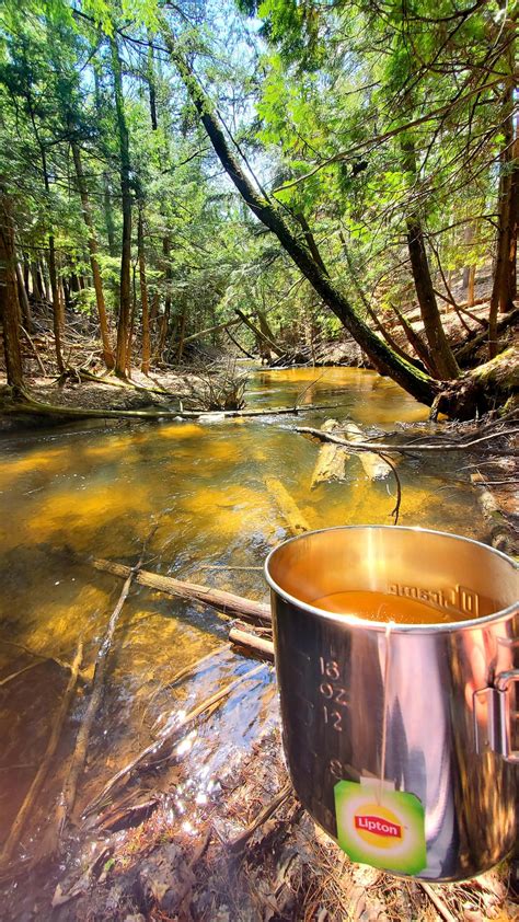 North Country Trail And Fife Lake Loop Rbackpacking