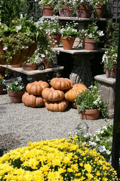 ciao! newport beach: autumn at Roger's Gardens