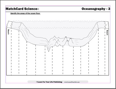 Diagram Of The Ocean Floor Worksheets Library