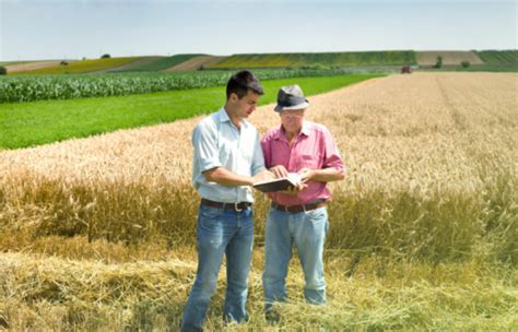 Kpis Para Agricultura Como Medir Os Resultados De Uma Fazenda