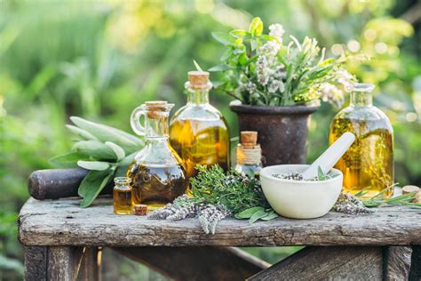 Plantes M Dicinales Cultiver Au Jardin Jardin Et Potager