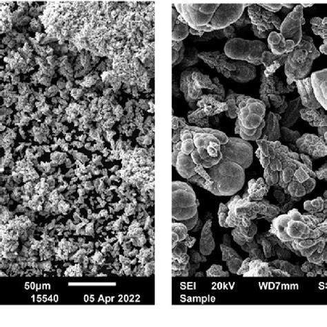 Morphology And Dispersion Of Copper Powder Sem Obtained At A Download Scientific Diagram