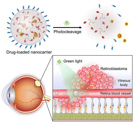 A Photoresponsive Nano Drug Delivery System Innovation Hub Hk