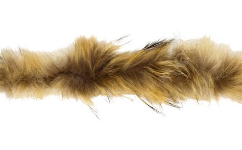 Fur On White Background Skin Fur Carpet Multicolored Png Transparent