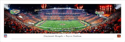 Cincinnati Bengals Stripe The Jungle At Paycor Stadium Panoramic