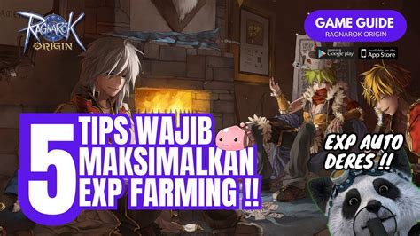 Ragnarok Origin Indonesia Tips Maksimalkan Exp Farming Exp Auto