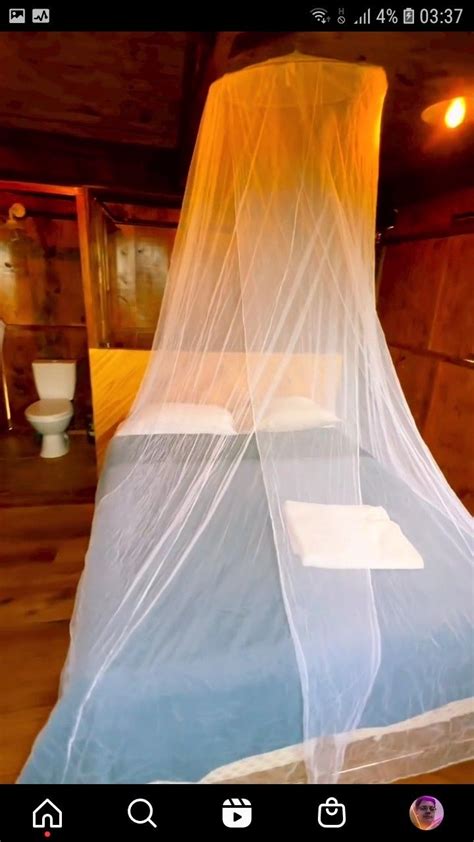 8 Best Mosquito Net Singapore In 2023 Artofit