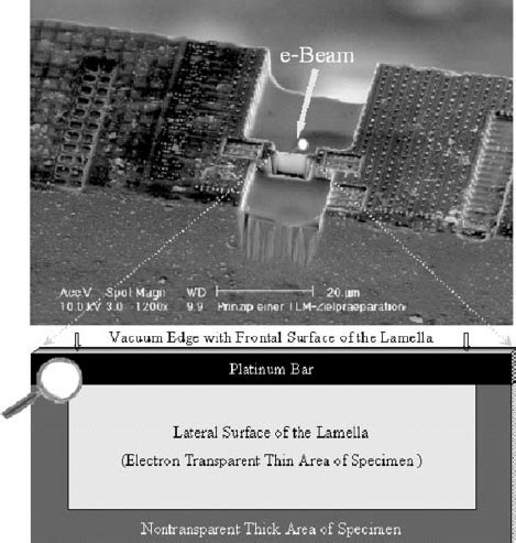 Example Of Fib Prepared Tem Lamella Top Image From Scanning Electron