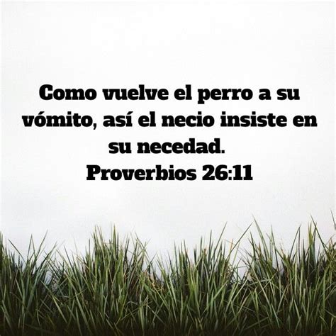 Como vuelve el perro a su vómito así el necio insiste en su necedad