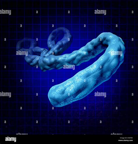 El Virus Del ébola Enfermedades Médicas Como Un Concepto Tridimensional