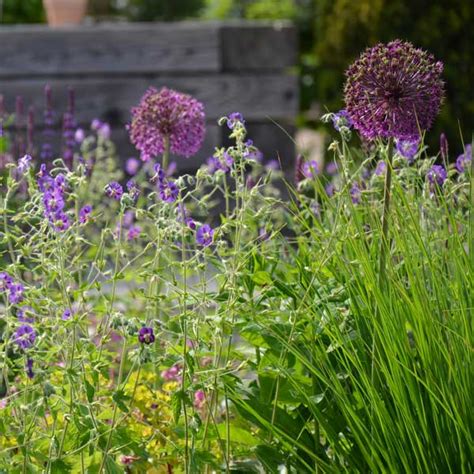 Garten Hamburg Hausbruch Garten Von Ehren