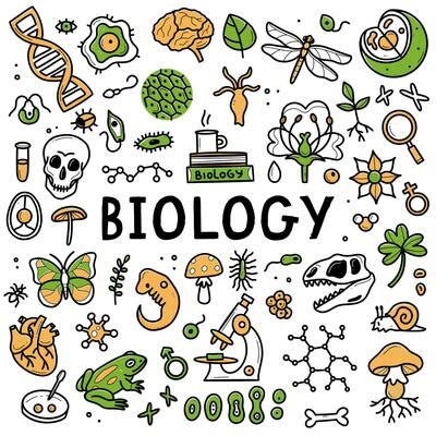 Biology Border Vector Art, Icons, and Graphics for Free Download