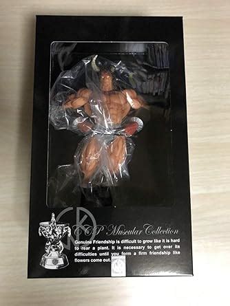 Amazon Ccp Muscular Collection Vol Ex Ver