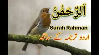 Surah Rahman With Urdu Translation Full Qari Al Sheik Doovi