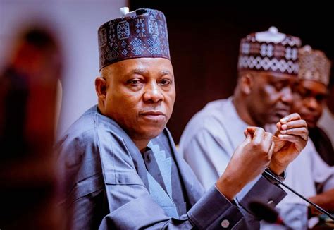 I Will Retire Atiku To Rearing Cows Chickens Shettima Boasts Kemi