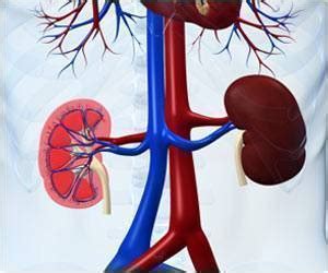 Renal Denervation Helps To Bring Drug Resistant Hypertension Under Control