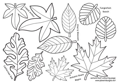 Autumn Leaves In Australia Free Colouring Page Free Coloring Pages