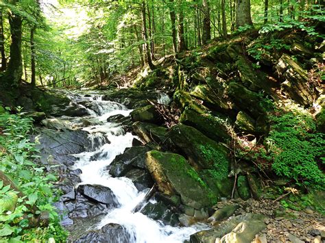 图片素材 景观 树 性质 草 瀑布 溪 荒野 落后 叶 湖 夏季 旅行 池塘 游泳 流 绿色 级联 丛林