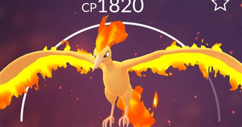 Pokemon Go Moltres Day: raid tips to get a Shiny Moltres with Sky ...