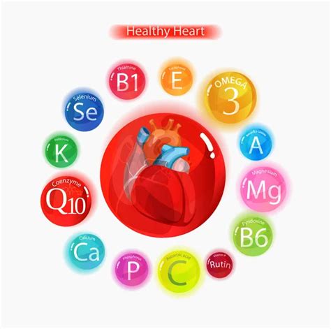 Healthy Heart Vitamins And Minerals — Stock Vector © Alfaolga 190028646