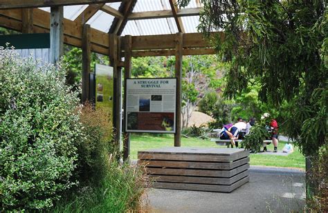 Catchpool And Ōrongorongo Valleys Remutaka Forest Park Wellington