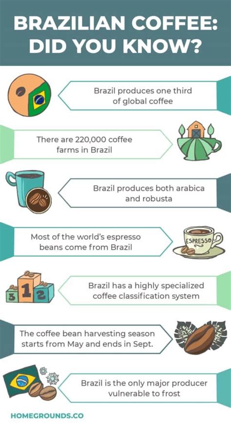 Best Brazilian Coffee Guide Top Picks Buying Guide Tips