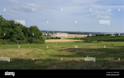 A Scenic Vista Featuring A Grassy Hilltop Overlooking A Lush Green