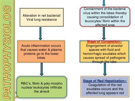 A case presentation on viral pneumonia