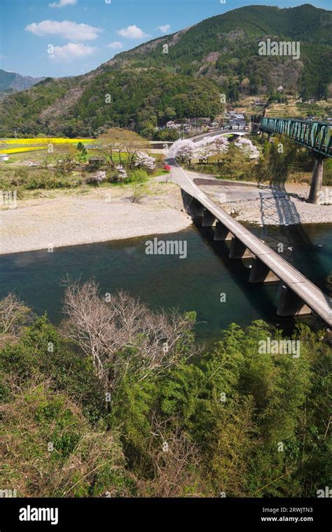 Daiichi Mishima Bridge, Shimanto River and cherry blossoms Stock Photo - Alamy