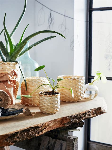 Amp Up The Nature With Bamboo Plant Pots Ikea