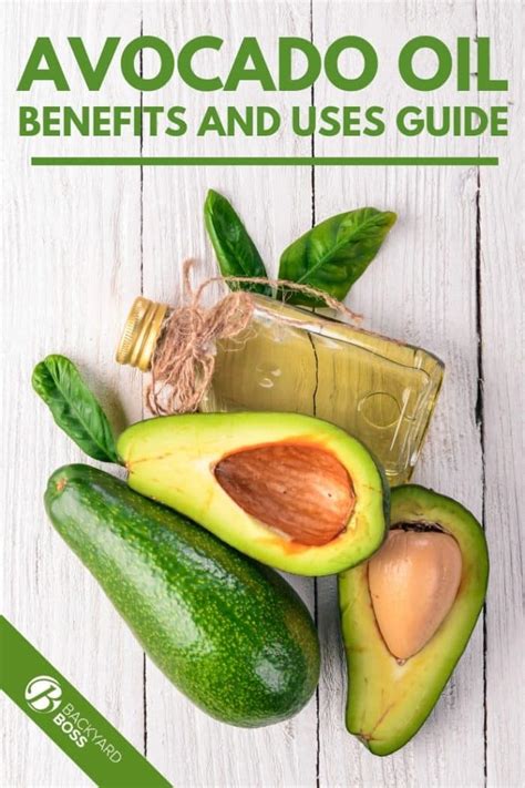 Avocado Oil Benefits And Usage A Health Supplement Guide