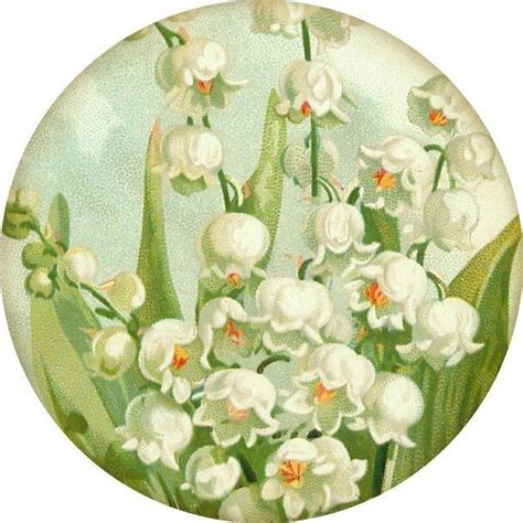 Pin on Ландыши Lily of the valley Lily of the valley flowers Lily