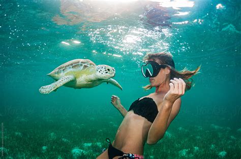 Girl And Turtle By Stocksy Contributor Shane Gross Stocksy