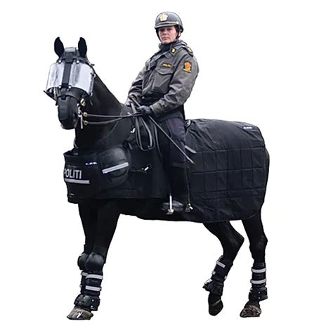 Riot Police Equipment Worldwide