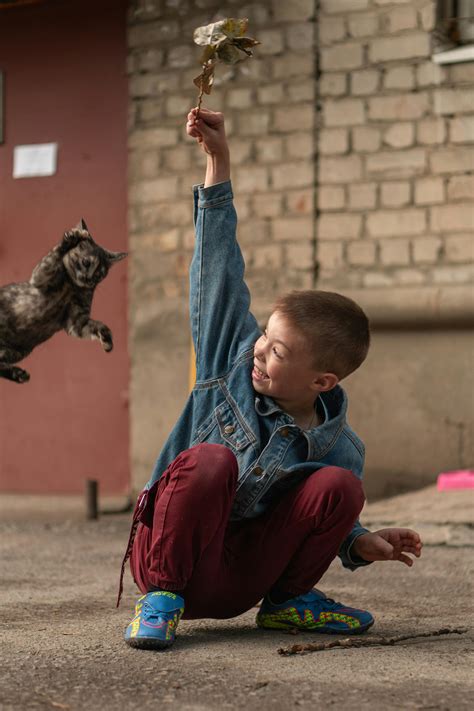 Cat Jumping Photos, Download The BEST Free Cat Jumping Stock Photos ...