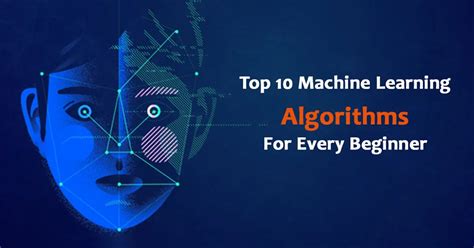 Top 10 Machine Learning Algorithms For Every Beginner