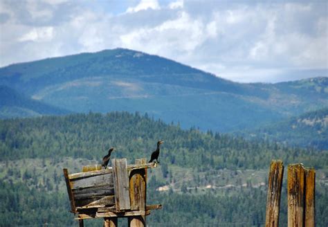 Paddling The Pend Oreille River July 18 2011 The Spokesman Review