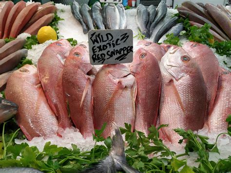 Tropical Red Snapper For Sale Image Eurekalert Science News Releases