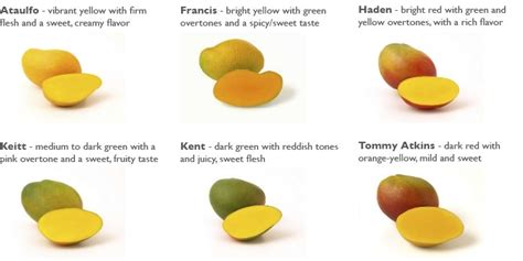 Mango-Varieties-courtesy-of-the-National-Mango-Board - RVCJ Media