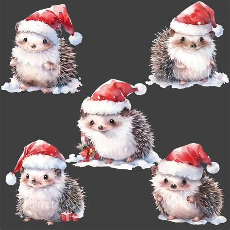 Watercolor 10 Christmas Hedgehog Clipart Bundle Hedgehog Clipart For