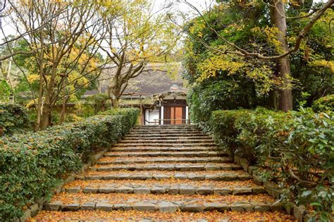 Cultural Highlights Of Kyoto Pinpoint Traveler