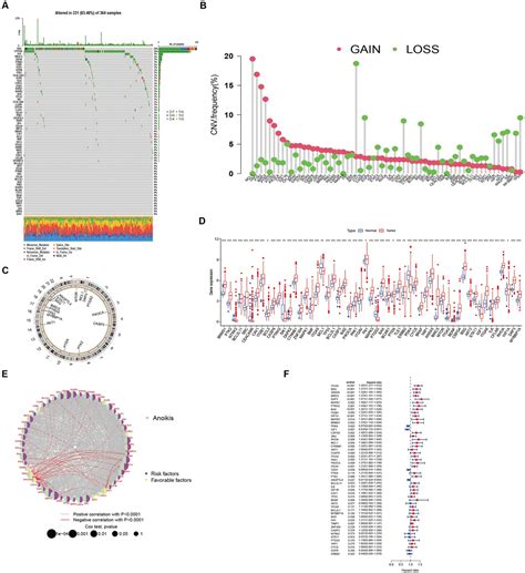 Frontiers Prognostic Model For Hepatocellular Carcinoma Based On