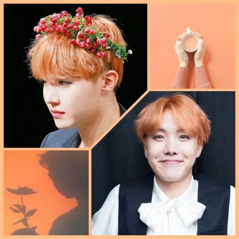 JUNG HOSEOK Wiki BTS French Amino Amino