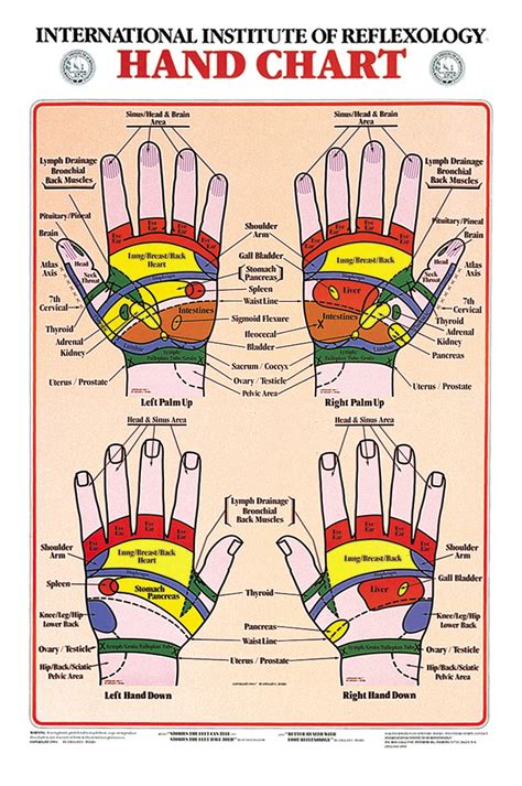 Hand Reflexology Chart - Charts | Hand Chart 17 x 21