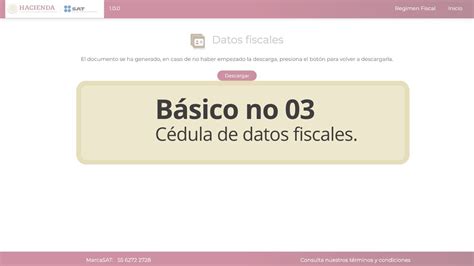 Básico no 3 Cédula de datos fiscales YouTube