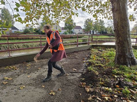 Fotonieuws Actie Steenbreek Tegel Eruit Plant Erin W Ldnet